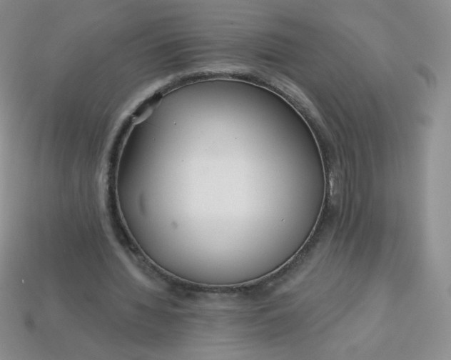 X0000113610436200910091545