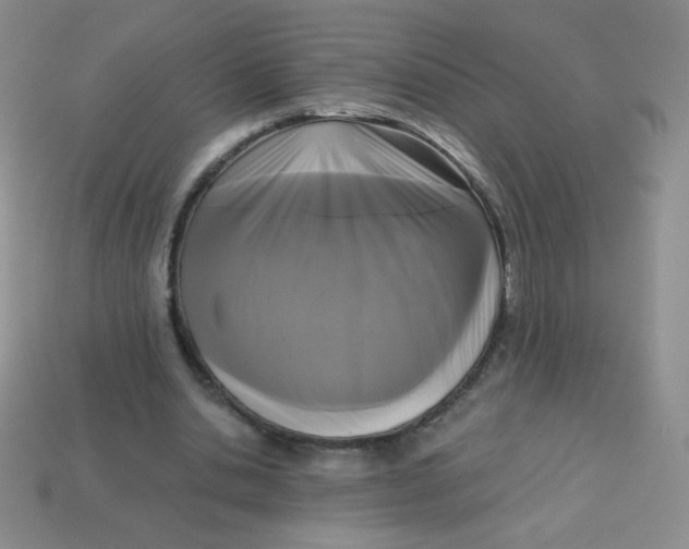 X0000113610438200910091545