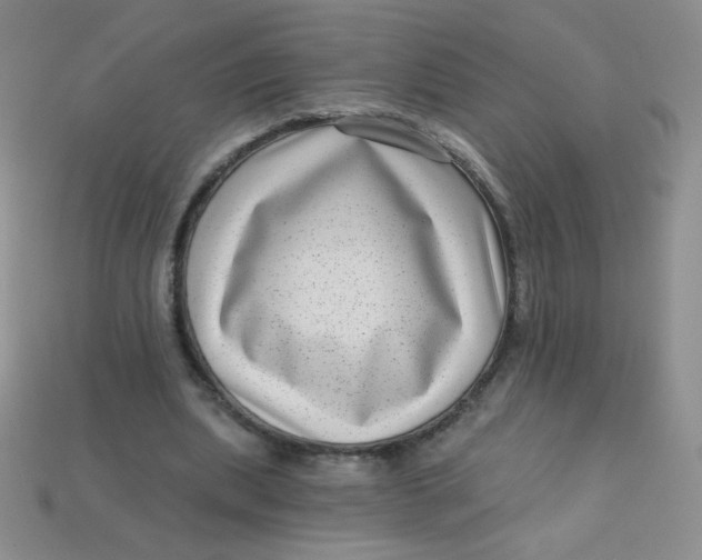 X0000113610439200910091545