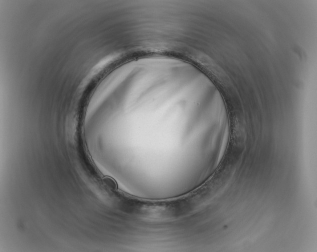 X0000113610440200910091545