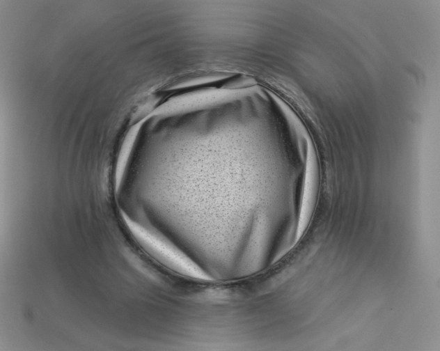 X0000113610441200910091545