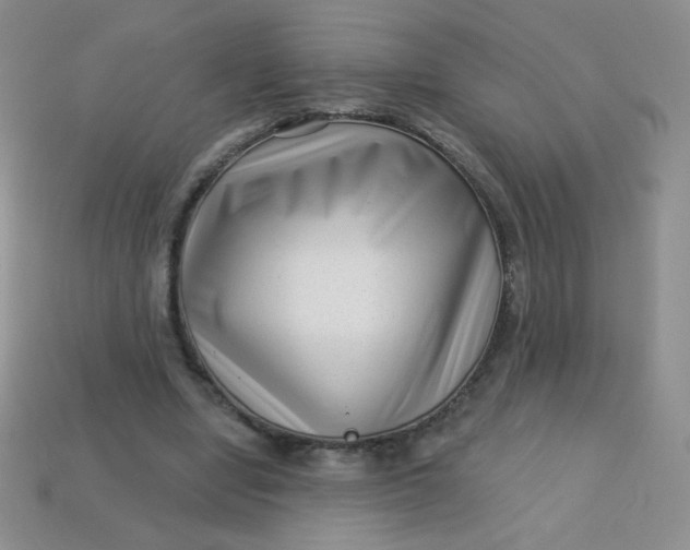 X0000113610442200910091545