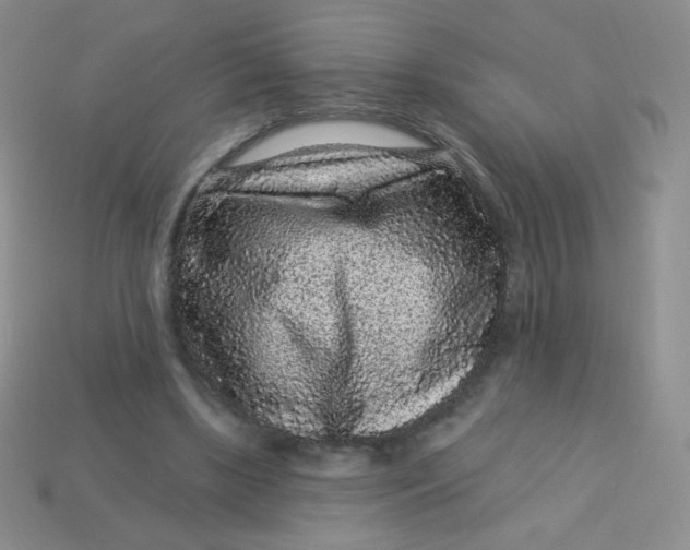 X0000113610443200910091545