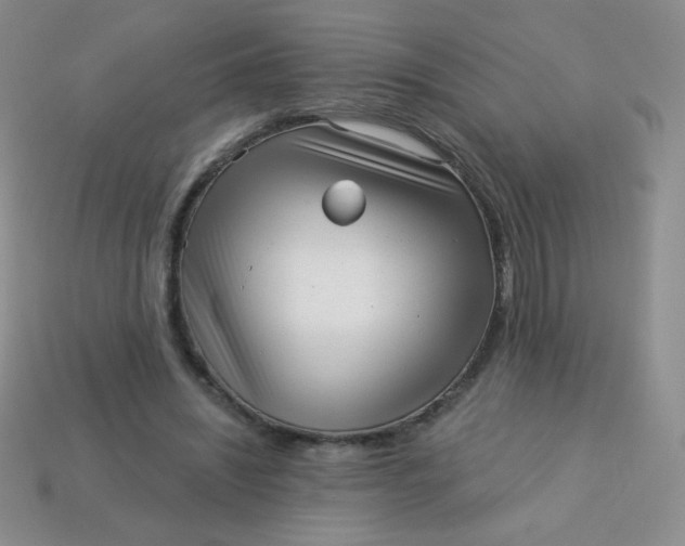 X0000113610444200910091545