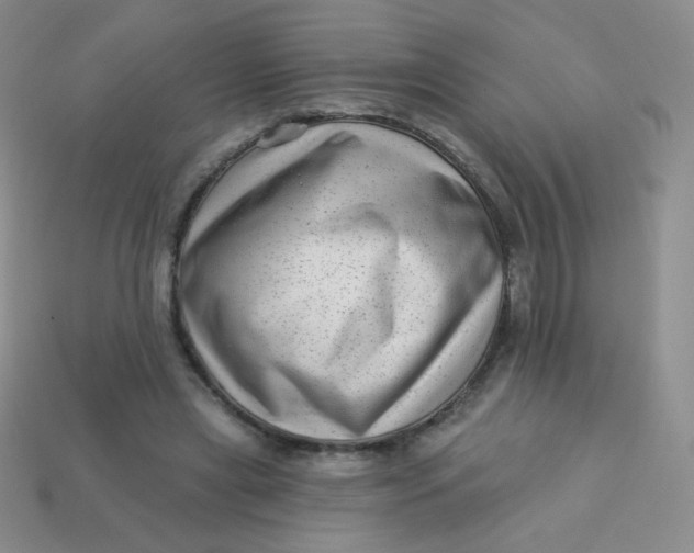 X0000113610445200910091545