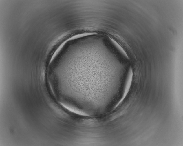 X0000113610446200910091545