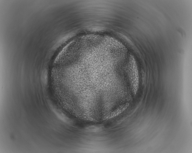 X0000113610447200910091545