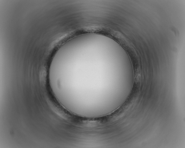 X0000113610448200910091545