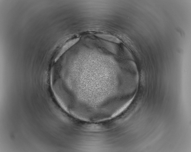 X0000113610449200910091545