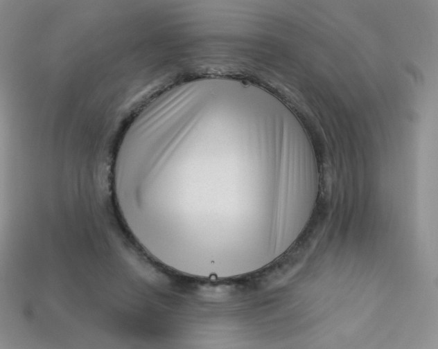 X0000113610450200910091545