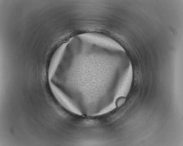 X0000113610453200910091545