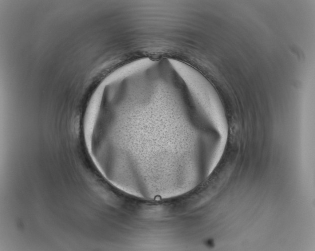 X0000113610454200910091545