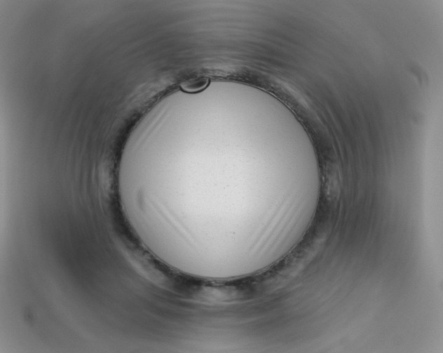 X0000113610455200910091545