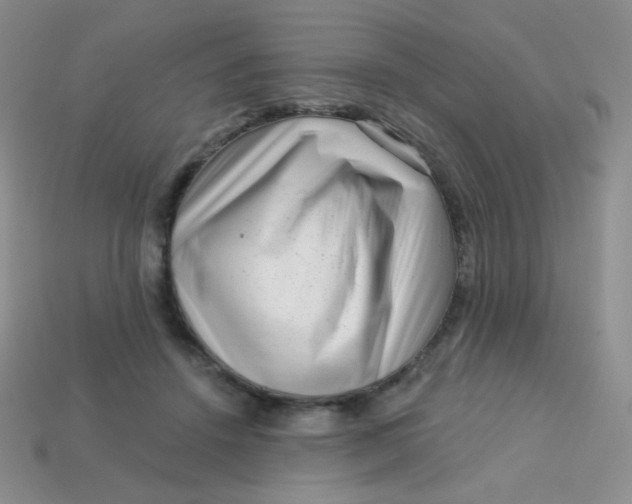 X0000113610456200910091545