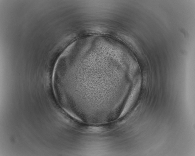 X0000113610457200910091545