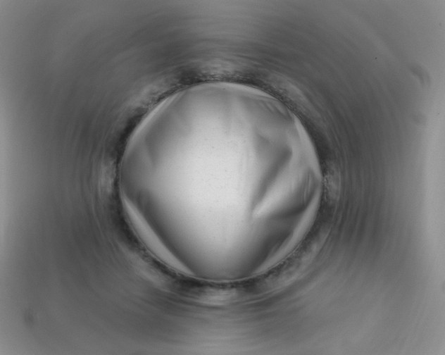 X0000113610458200910091545