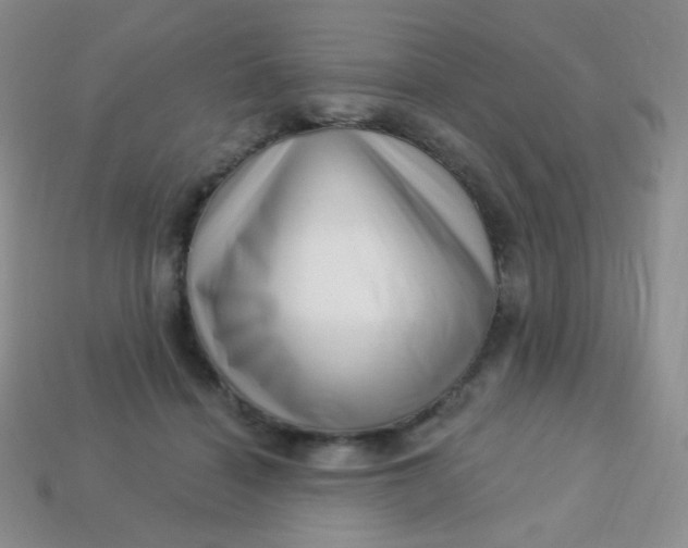 X0000113610460200910091545