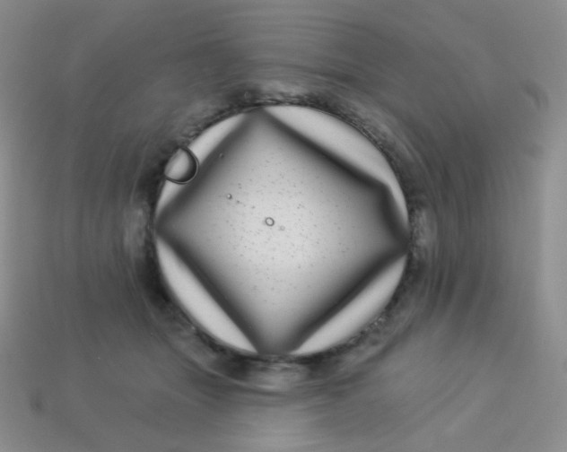 X0000113610463200910091545