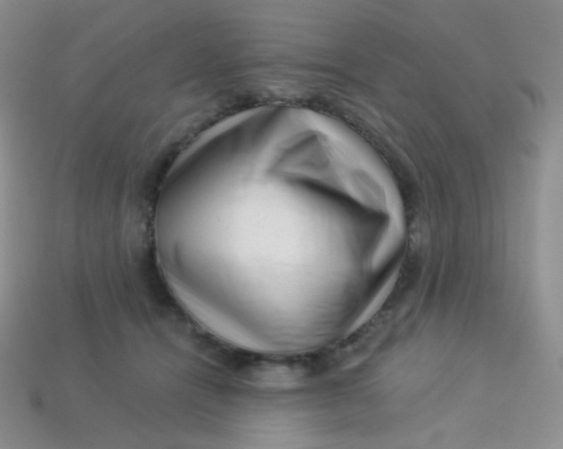 X0000113610464200910091545