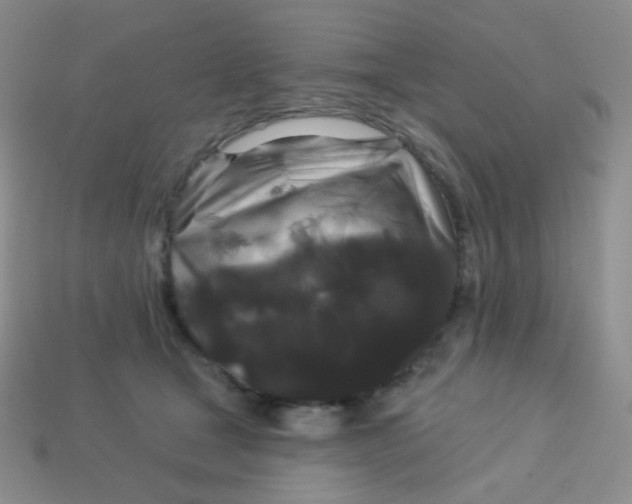 X0000113610465200910091545