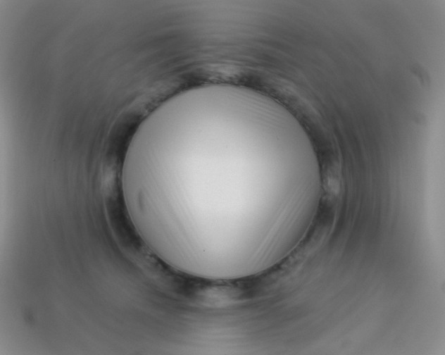 X0000113610468200910091545