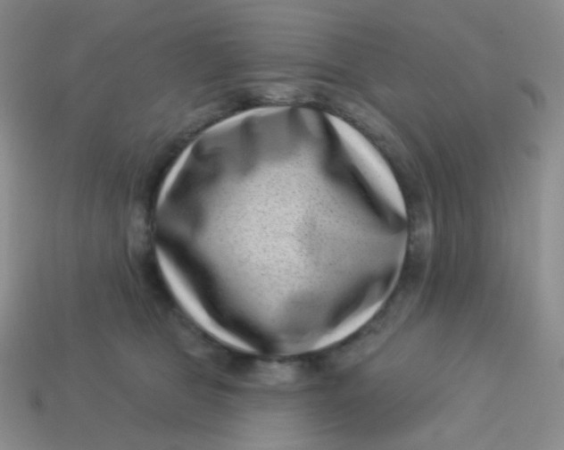 X0000113610469200910091545