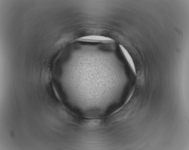 X0000113610474200910091545