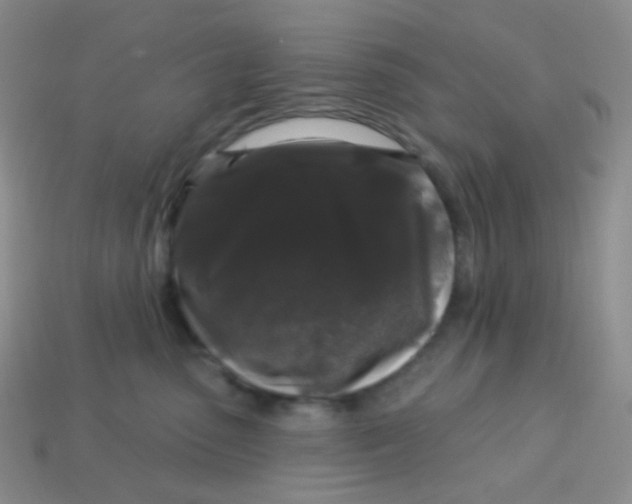 X0000113610475200910091545