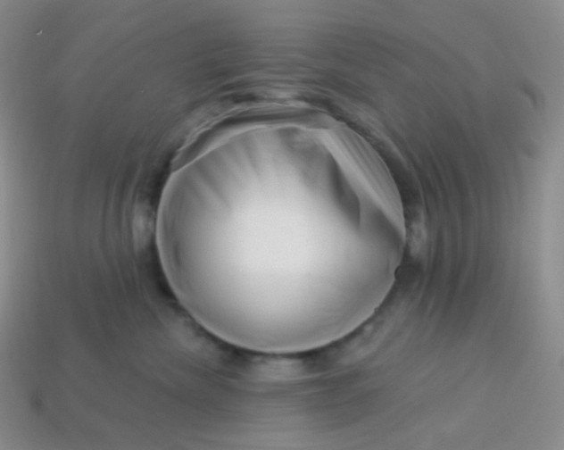 X0000113610476200910091545