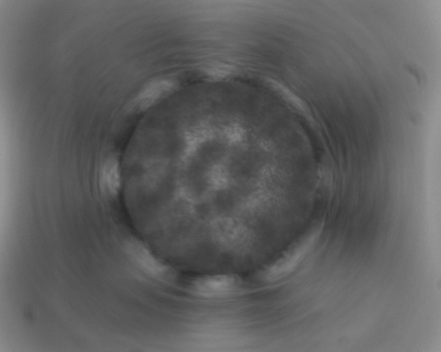 X0000113610479200910091545