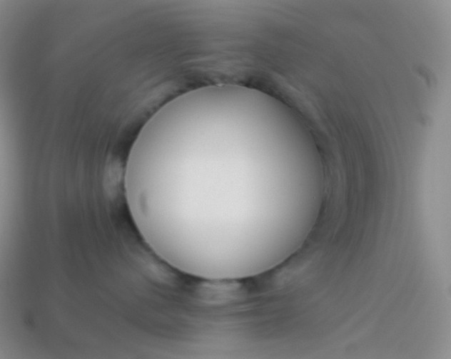 X0000113610480200910091545