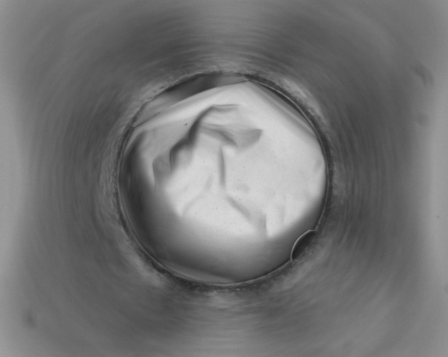 X0000113610481200910091545