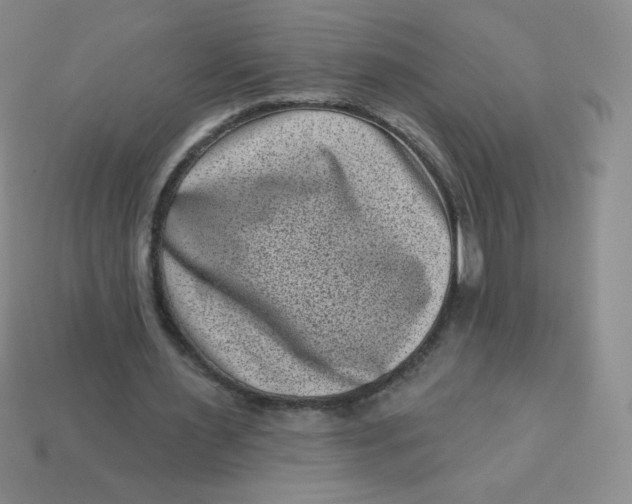 X0000113610483200910091545