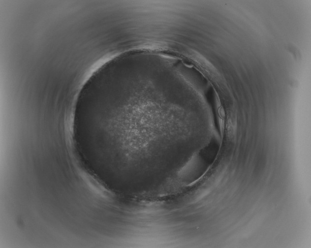 X0000113610484200910091545