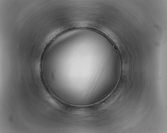 X0000113610485200910091545