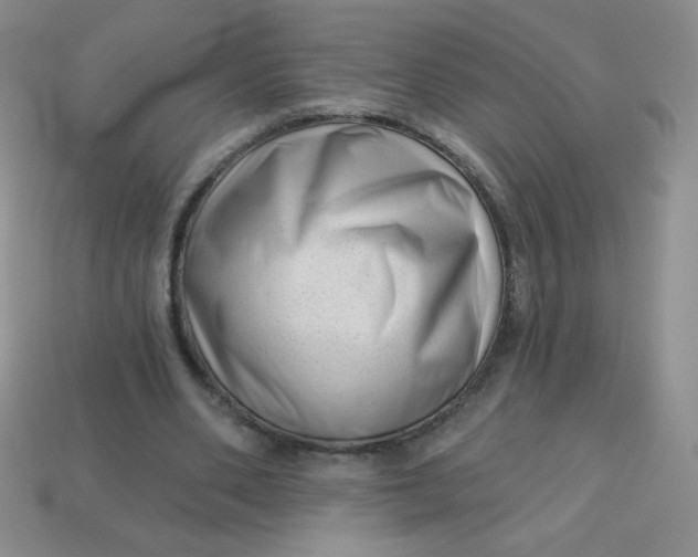 X0000113610486200910091545