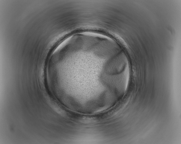 X0000113610487200910091545