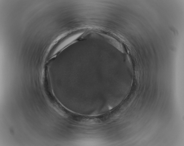 X0000113610488200910091545