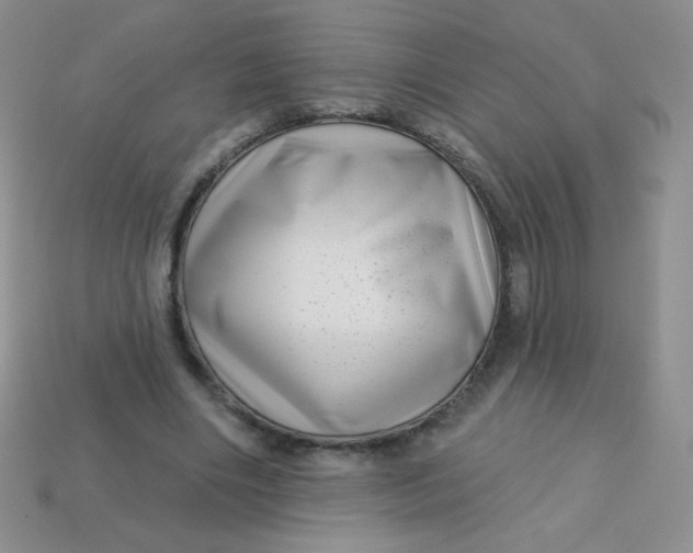 X0000113610490200910091545