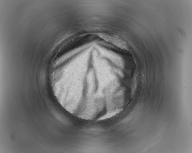 X0000113610491200910091545