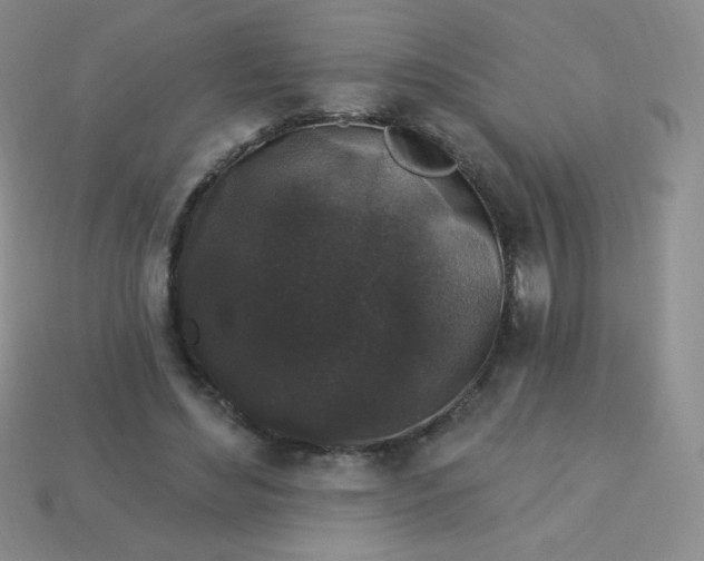 X0000113610492200910091545