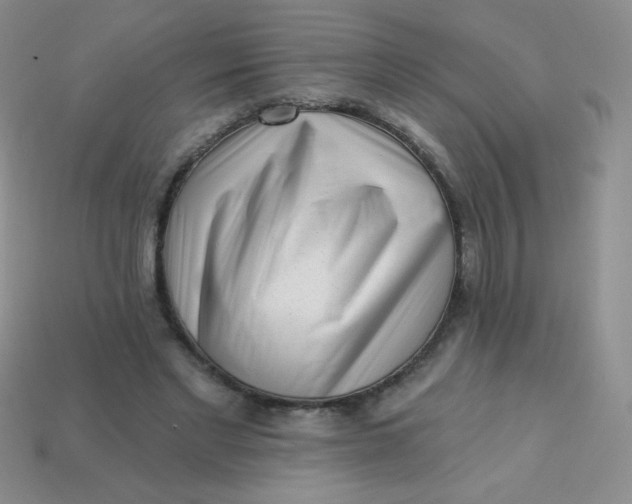 X0000113610493200910091545