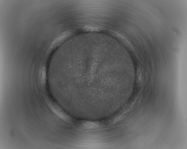 X0000113610494200910091545