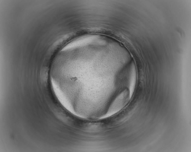 X0000113610495200910091545