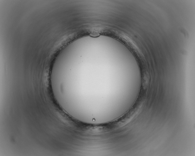 X0000113610497200910091544