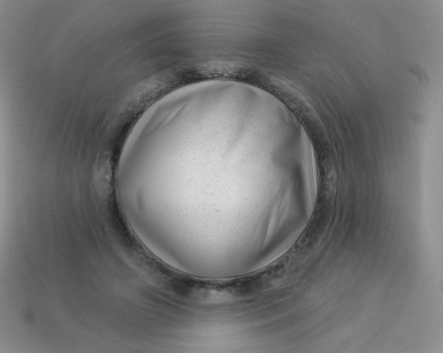 X0000113610498200910091544