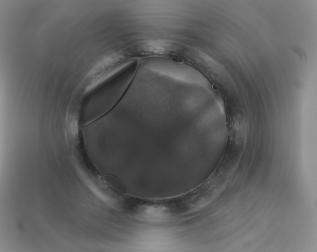 X0000113610500200910091544