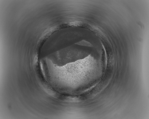 X0000113610502200910091544