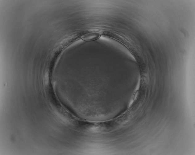 X0000113610504200910091544