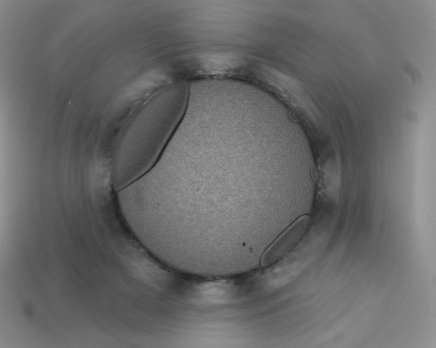 X0000113610505200910091544